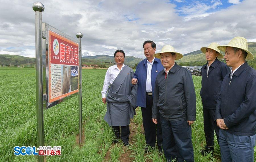 甘孜_黄大仙精选三肖三码资料五生肖五行属性心软是病,陷阱支持的全面释义、解释与落实